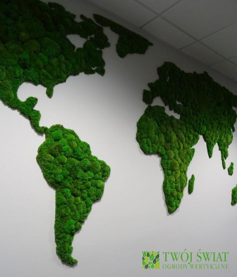 zielona ściana z mchu