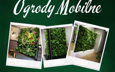 Zielona ściana od zaraz! – Mobilny ogród wertykalny