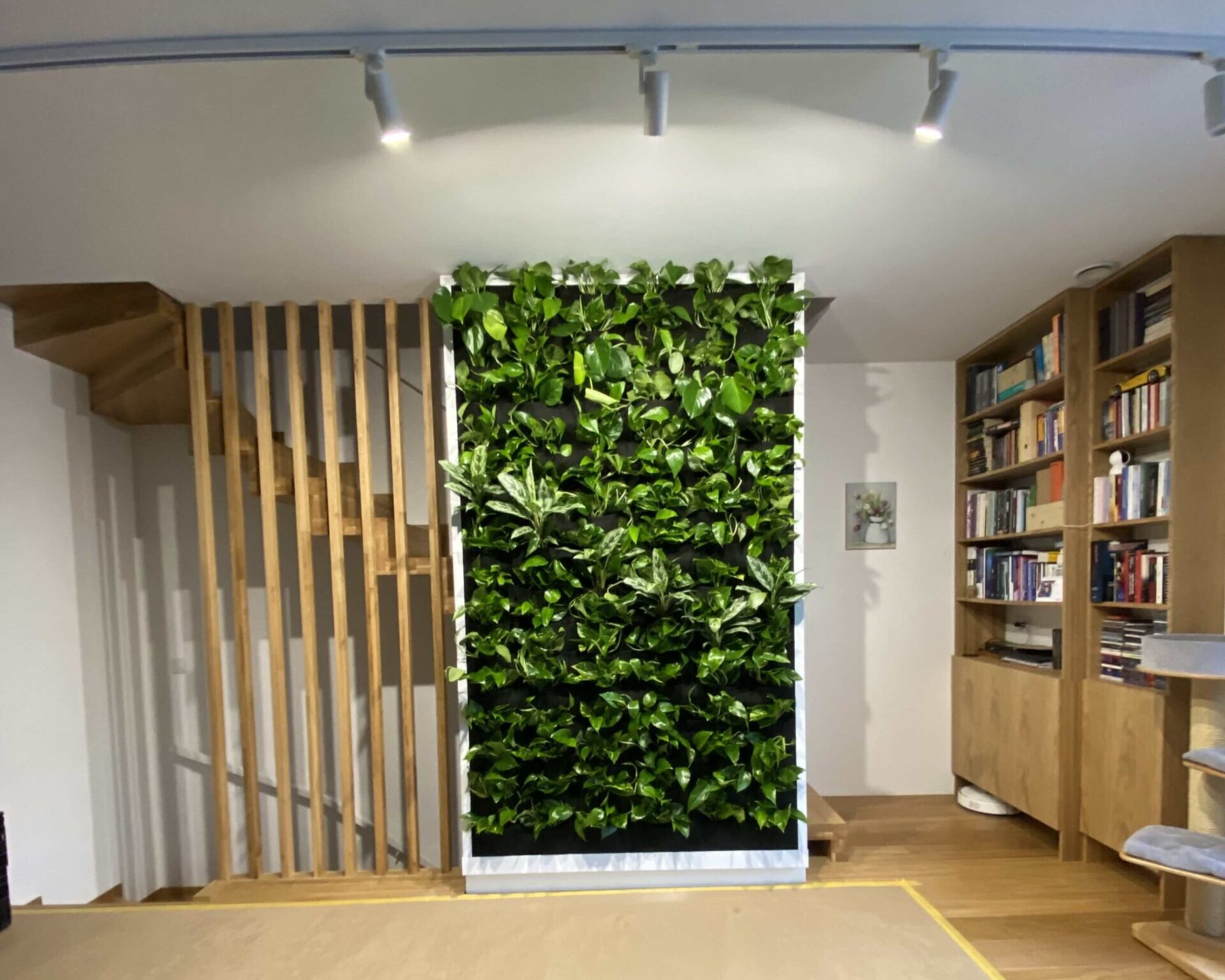Zielona ściana w domowej biblioteczce