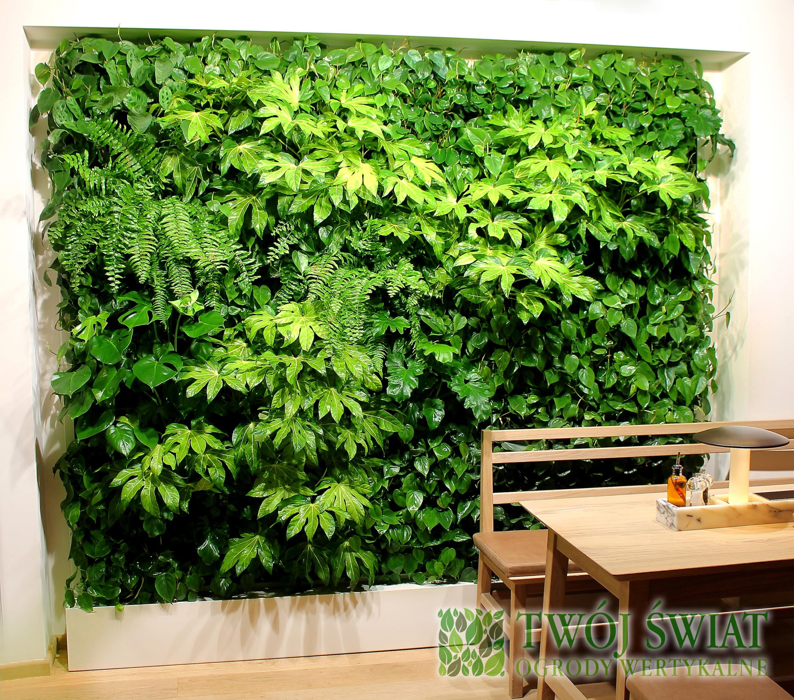Zielona ściana w restauracji