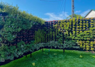 Freestanding outdoor green wall