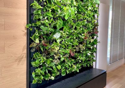 Freshly planted vertical garden with an enclosed reservoir for plants