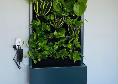 Mobile green wall - hanging on the wall
