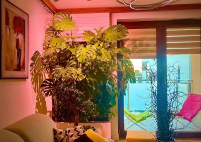 Mobile green wall in the living room - Illumination