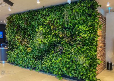 Indoor green wall from the floor