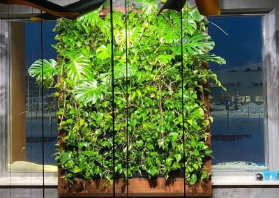Hanging green wall with an enclosed front - lighting