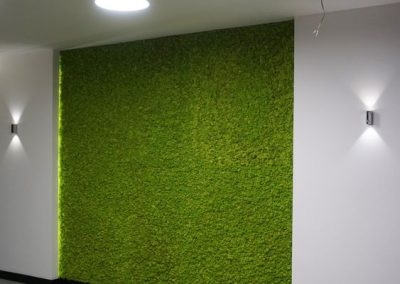 Zielona ściana wykonana z chrobotka reniferowego