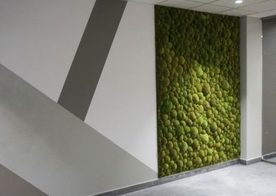 Mech poduszkowy - zielona ściana