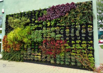 Lublin - outdoor green wall