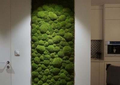 Ściana z mchu poduszkowego - oświetlenie
