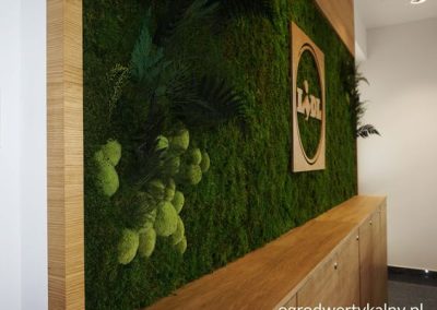 Mech mieszany z logiem - zielona ściana