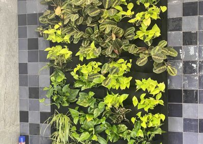 Small vertical garden without frames