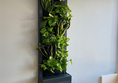 Small modular vertical garden - hanging on the wall