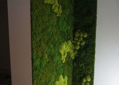 Narożna zielona ściana - mech mieszany