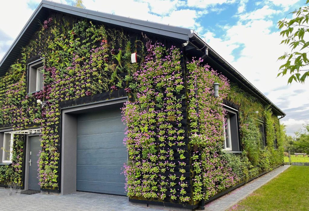 Blooming outdoor green wall
