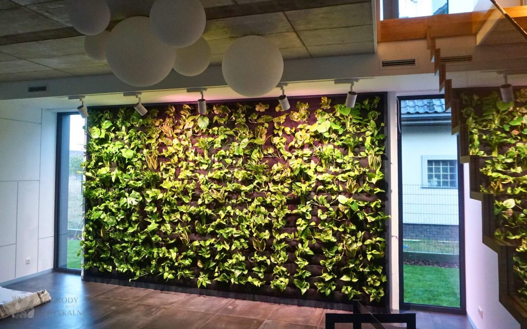 Vertical garden with Vertical Planter panels by Planta Up