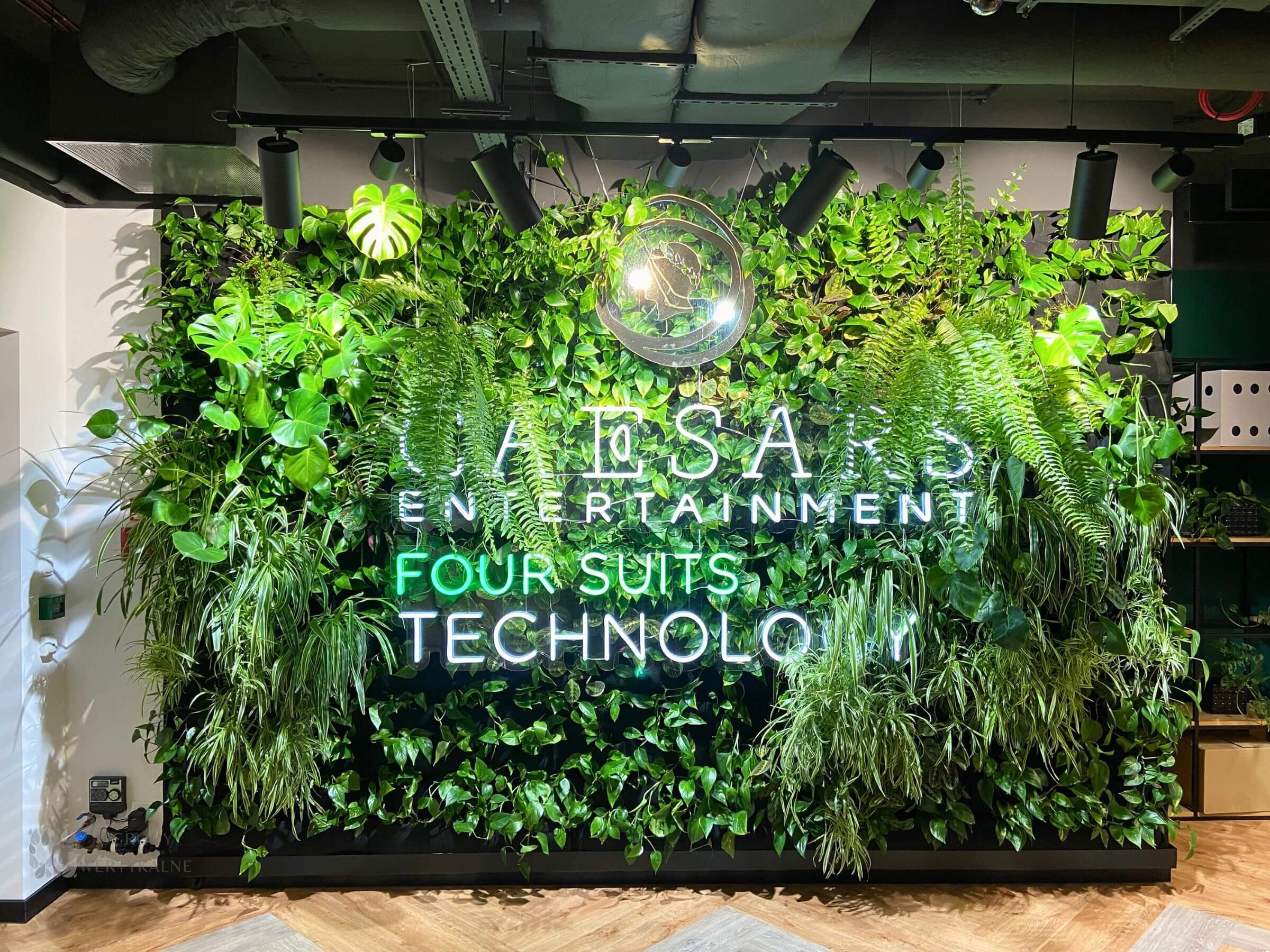 Ogród wertykalny w biurze - element reprezentatywny firmy