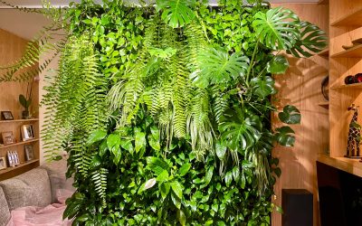 Ogród wertykalny DIY – zielona ściana, którą możesz stworzyć sam (lub z naszą pomocą)