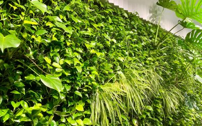 Wytyczne do wykonania przyłączy dla zielonej ściany w systemie PlantaUp – woda, kanalizacja i oświetlenie